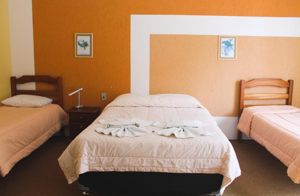 Standard Quadruplo - Hotel Platanus